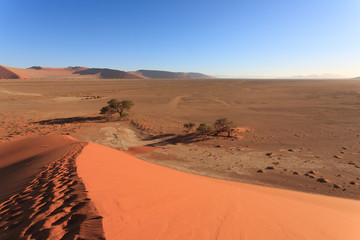 Fototapeta na wymiar Footsteps on dune