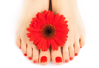 beautiful red manicured nails with gerbera