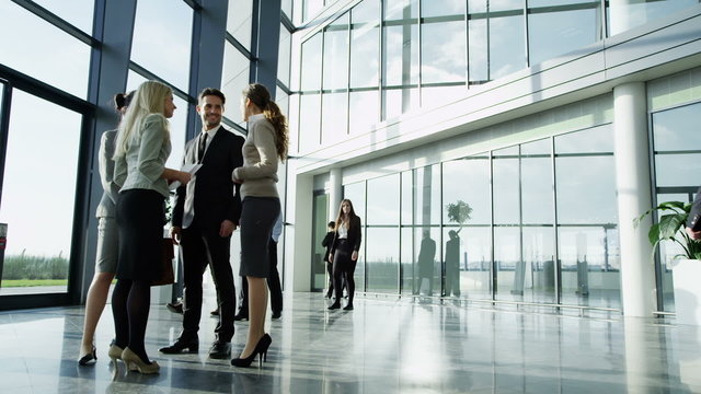 Attractive diverse business team in a light modern office building