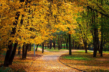Naklejka premium Autumn in the park