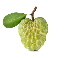Noni fruits on white background