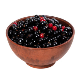 Blackcurrants with redcurrants in ceramic bowl
