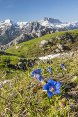Bergwelt