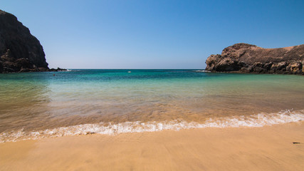 Obraz premium papagayo 2