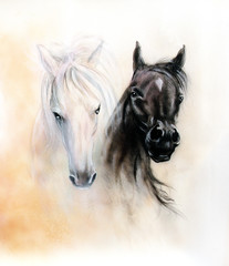 Horse heads, two black and white horse spirits, beautiful detail © jozefklopacka