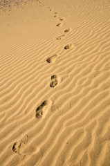 Footprints