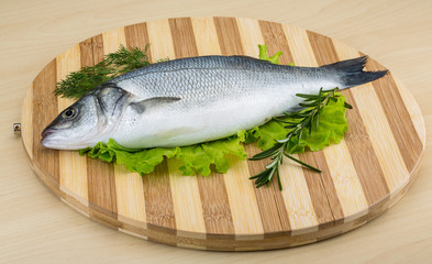 Raw seabass