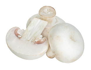 Fototapeta na wymiar Champignon mushrooms isolated on white background