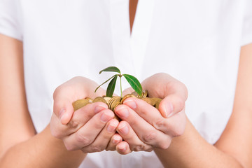 Hands holding little plant growing from coins as symbol of money