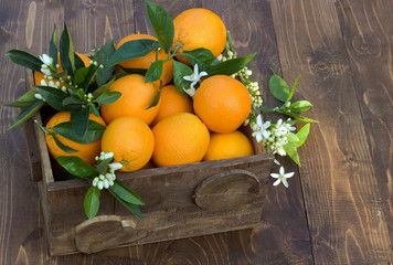 Oranges. Fruits and flowers.