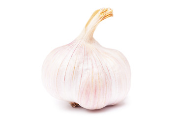 garlic isolated on a white