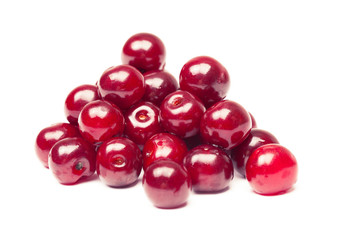 Cherry on a white background