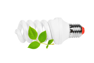 Energy saving light bulb and plant on white background