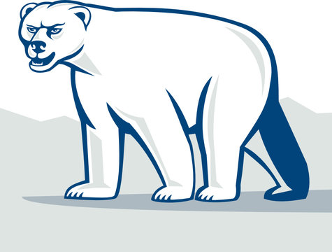 Polar Bear Isolated Cartoon