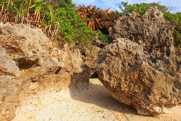 沖縄の岩場