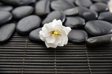 Fototapeta na wymiar white gardenia flowers and black stones on mat