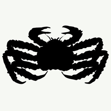 recommend clip art: vector crab silhouettes