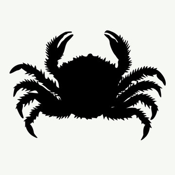 black crab silhouette on white background