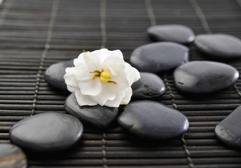 Fototapeta na wymiar white gardenia flowers and pile of black stones on mat