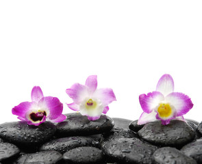 Obraz na płótnie Canvas Still life with three orchid on wet zen stones