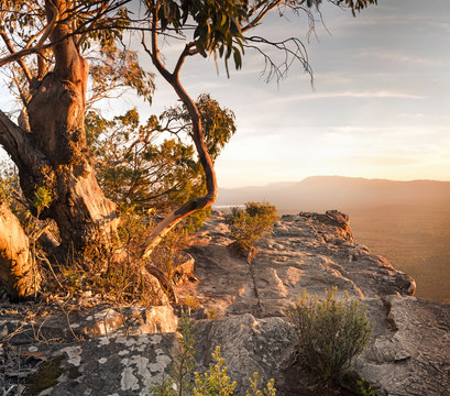 Stunning Australian bush landscape scenic from a mountain top in the Grampians National Park