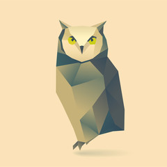 Obraz premium owl