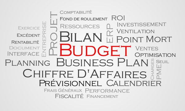Nuage de mots Budget