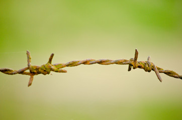 Barbed wire is metal for protect what is dangerous