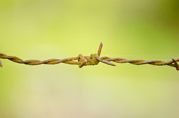 Barbed wire is metal for protect what is dangerous