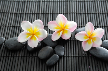 Obraz na płótnie Canvas Set of stones with three frangipani on bamboo mat
