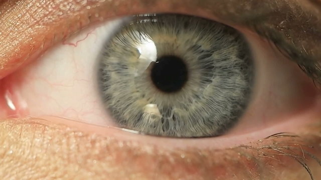 Macro Close-up eye Beauty blinking