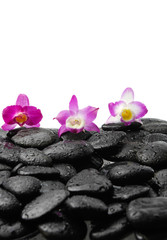 Obraz na płótnie Canvas Still life with three orchid on wet zen stones