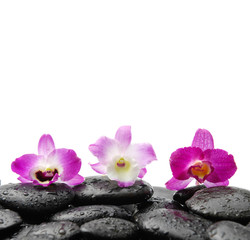 Obraz na płótnie Canvas three orchid on wet zen stones