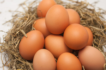 Fresh egg in Straw(Some fresh egg in straw Macro shoot)