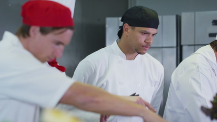 Team of professional chefs working together in a commercial kitchen