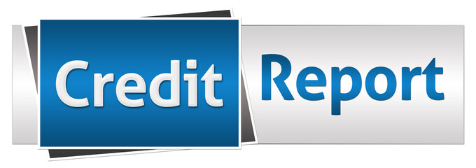 Credit Report Blue Grey Horizontal