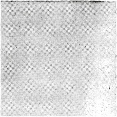 detailed halftone texture overlay © Anja Kaiser