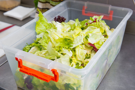 lettuce in a container