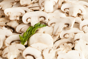 porcini mushrooms sliced and served
