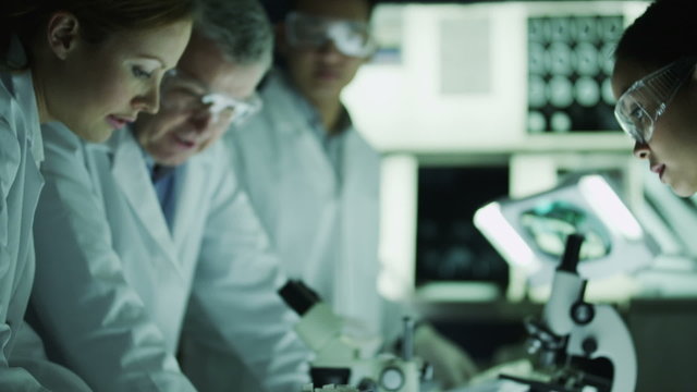 Experienced doctor working in the lab with young medical research students