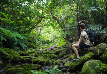 Man trekking through dense tropical rainforest and jungle greenery in Iriomote island, Okinawa prefecture, tropical Japan