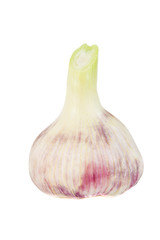 Garlic bulb isolated on white
