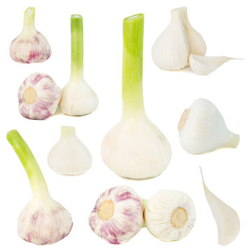 Collection of garlic isolated on white background