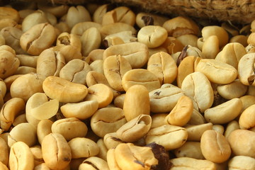 raw coffee beans in a sack