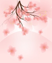 Cherry blossom tree
