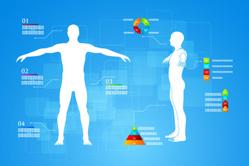 Infographics Human Body Anatomy