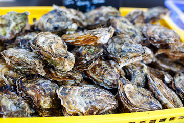 fresh oysters on mediterranean street market.