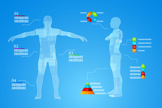 Infographics Human Body Anatomy