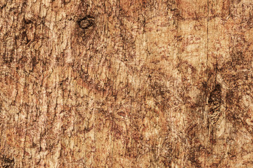 Old Rough Treated Knotted Pine Wood Plank Mottled Grunge Texture