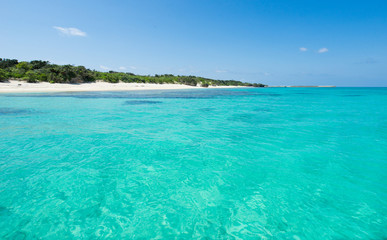 Fototapeta na wymiar Remote tropical paradise white sand beach full of healthy coral in clear blue turquoise lagoon, Okinawa